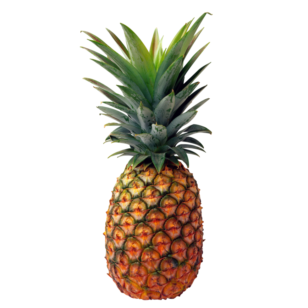 Pineapple