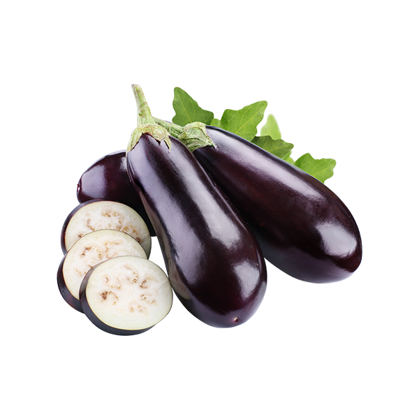 Aubergine
