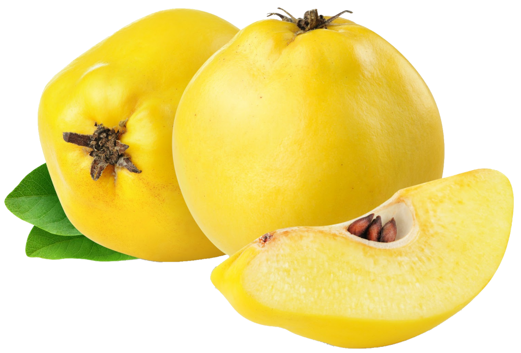 Quince