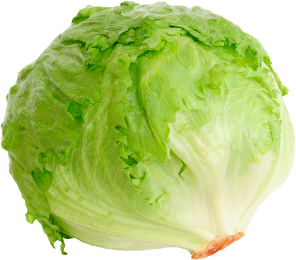 Ice berg salad
