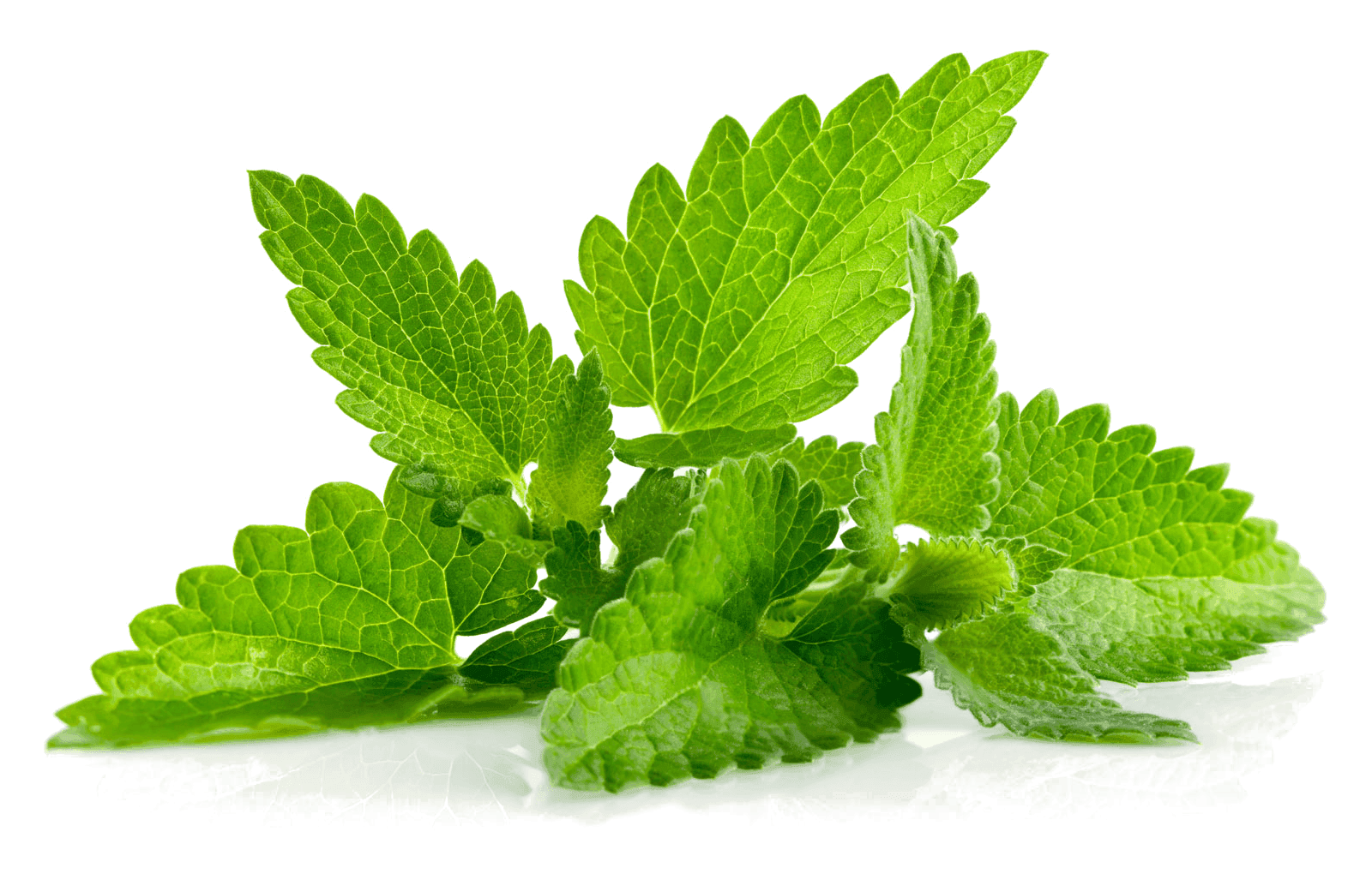 Mint
