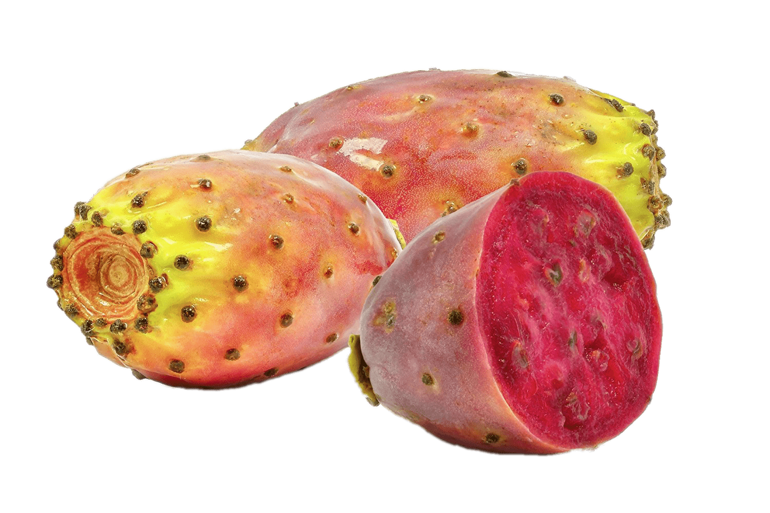 Barbary fig