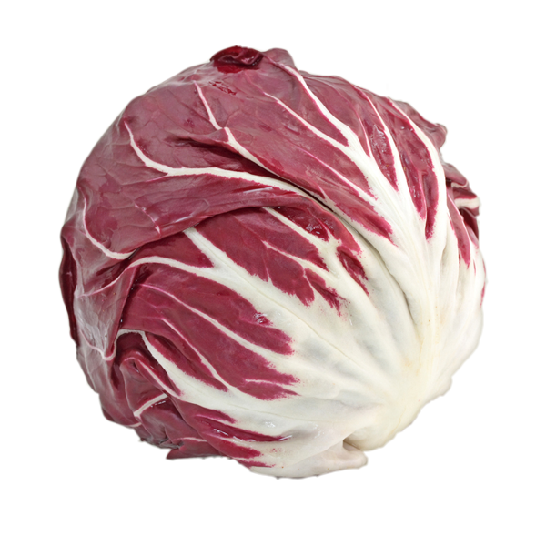 Radicchio