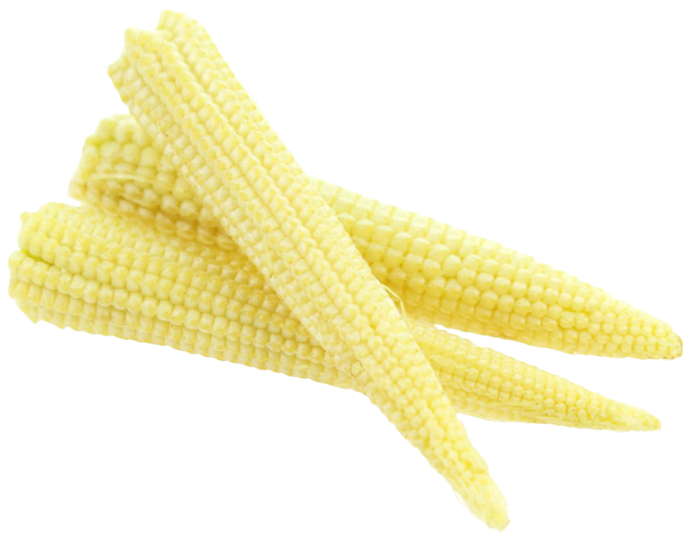 Corn Mini