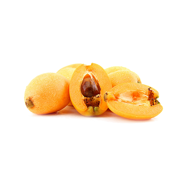 Loquat