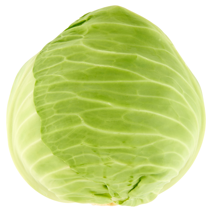 White cabbage