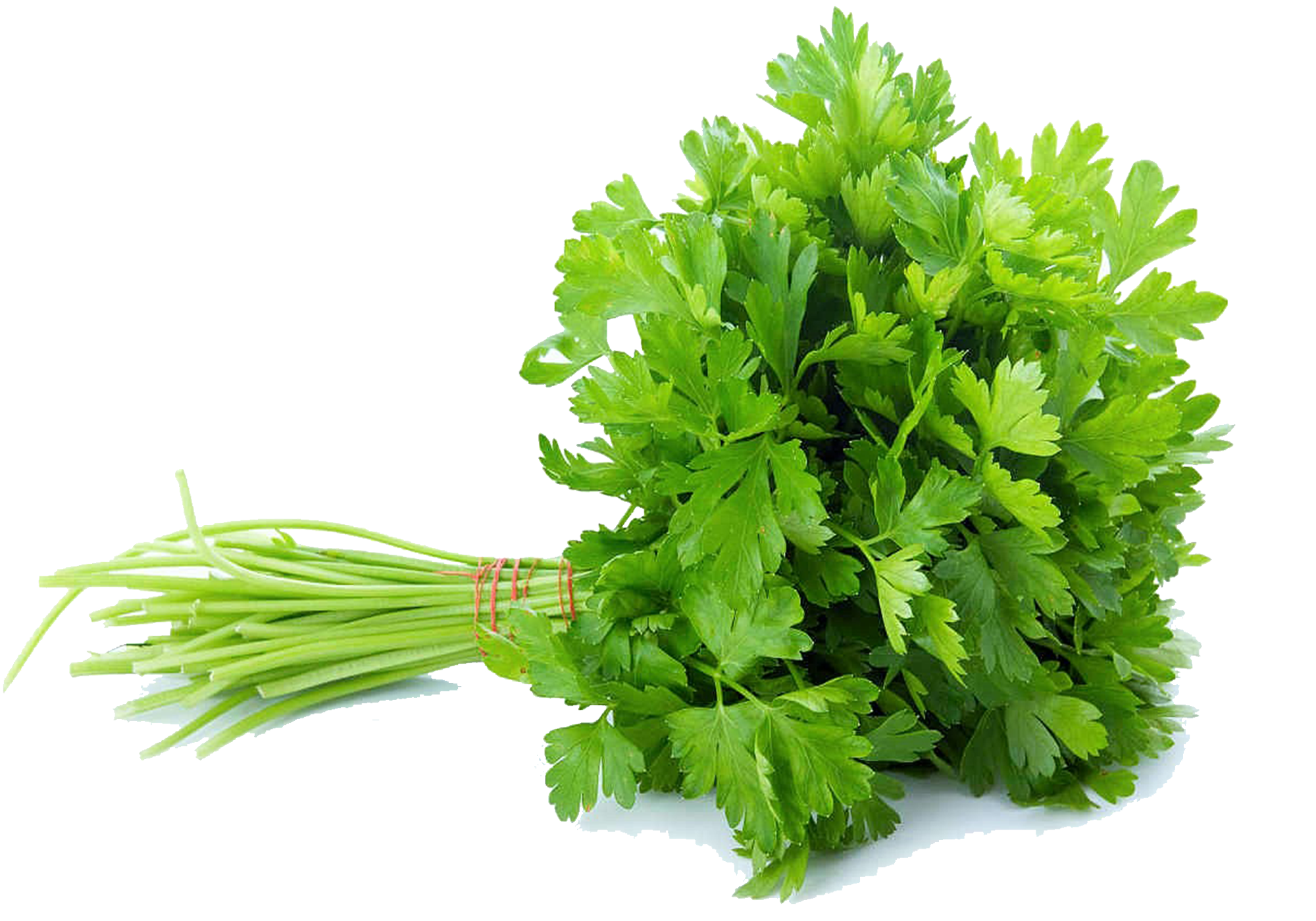 Parsley