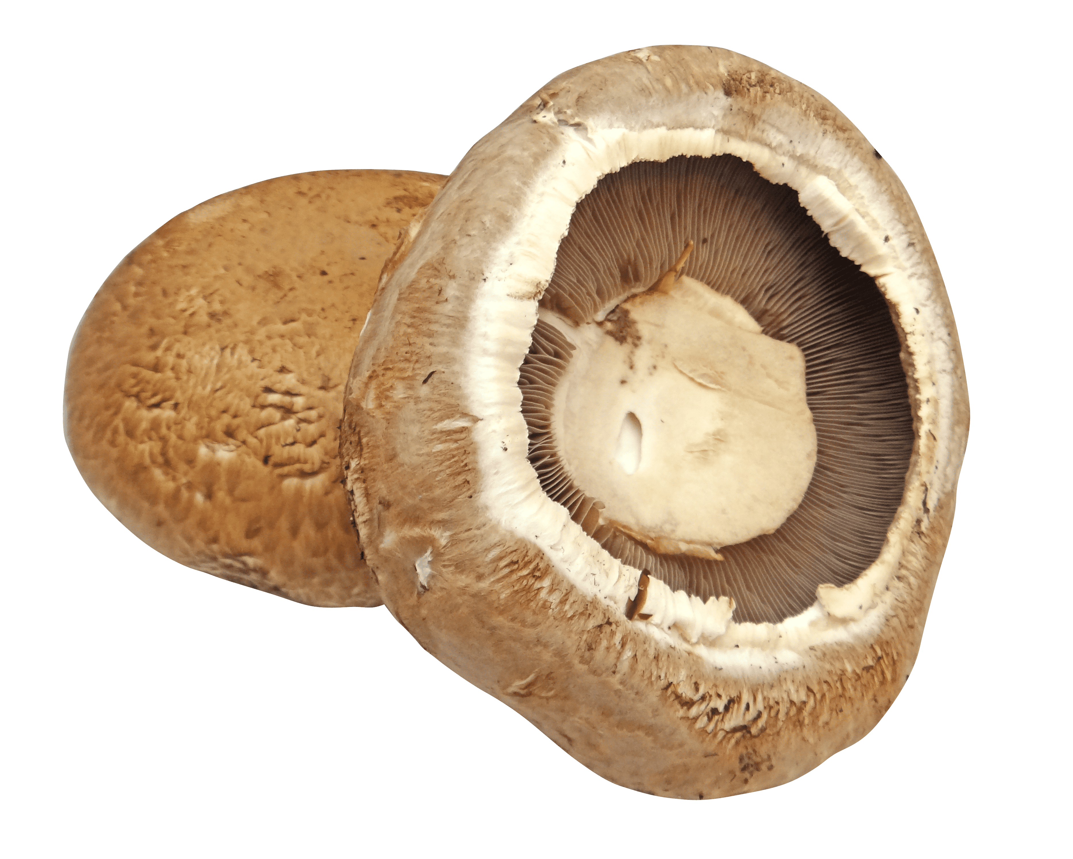 Portobello mushrooms