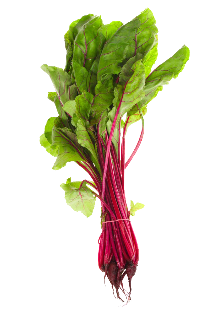 Beet Leaves