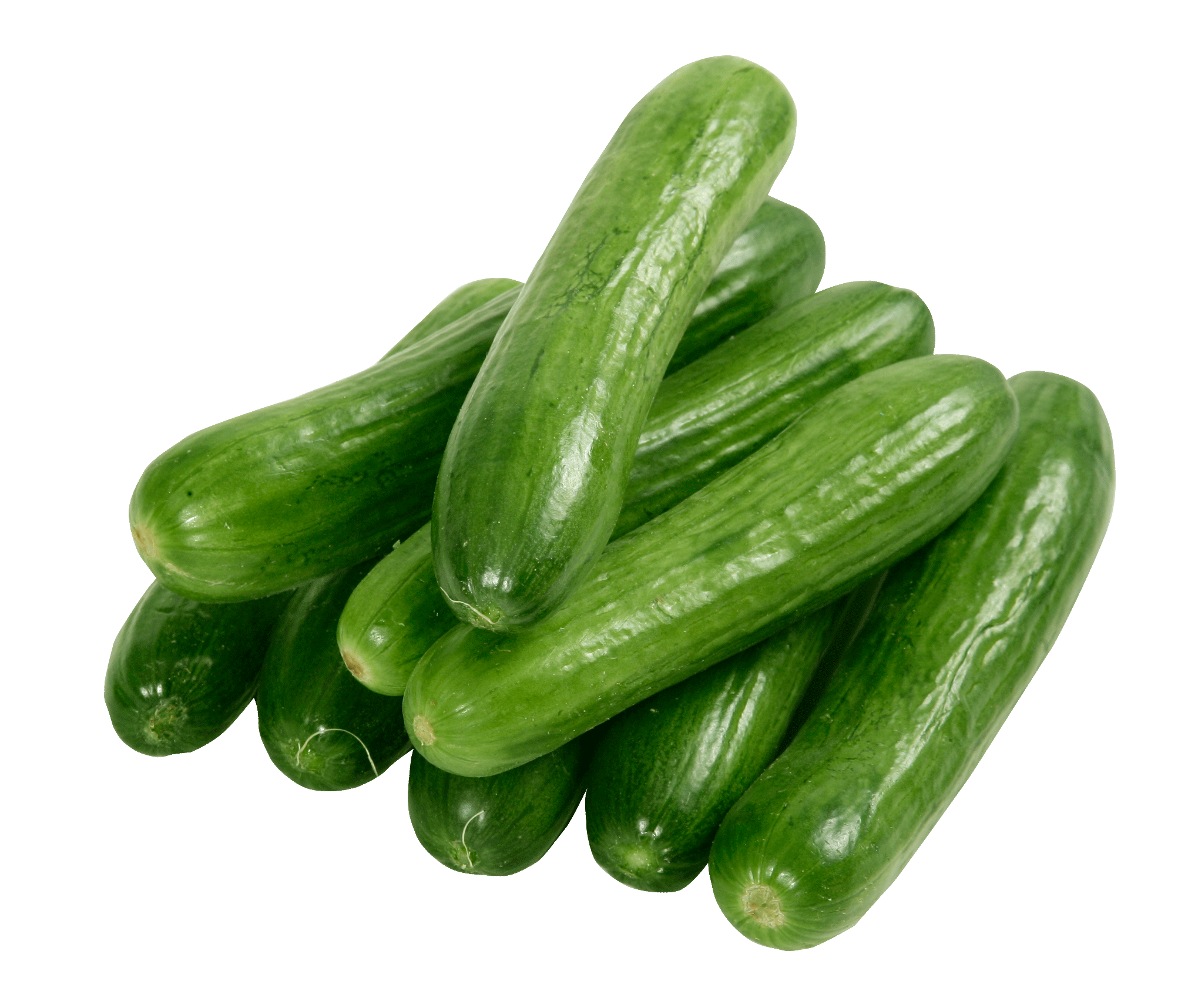 Cucumber